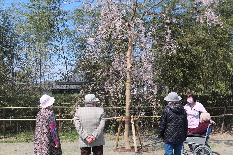 お花見（医療デイケアなないろの森）